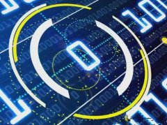 美國服務(wù)器數(shù)據(jù)庫運維