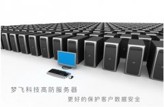 美國高防服務(wù)器的優(yōu)勢(shì)
